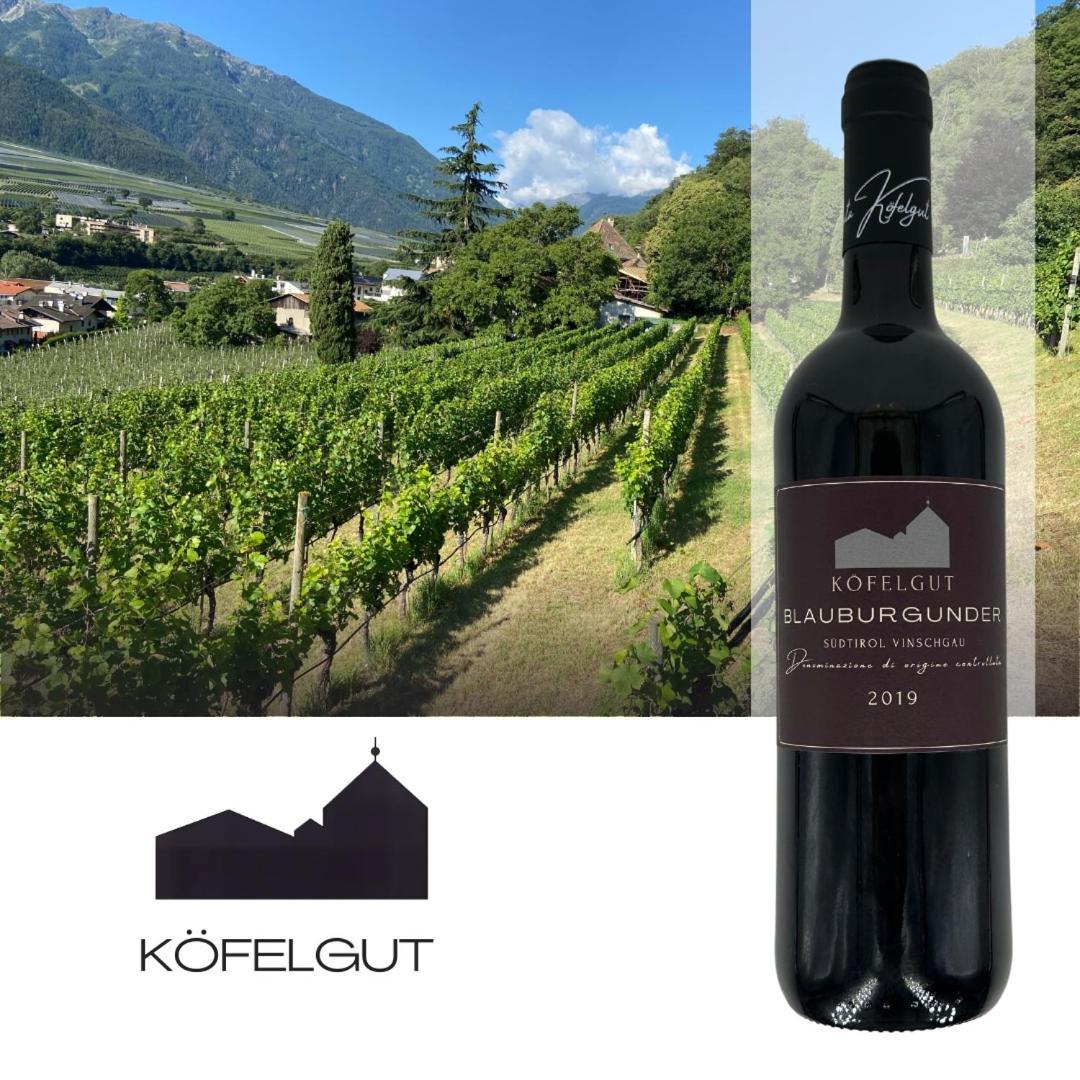 شقة Weingut Koefelgut - Turris Vini كاستلبيلو المظهر الخارجي الصورة